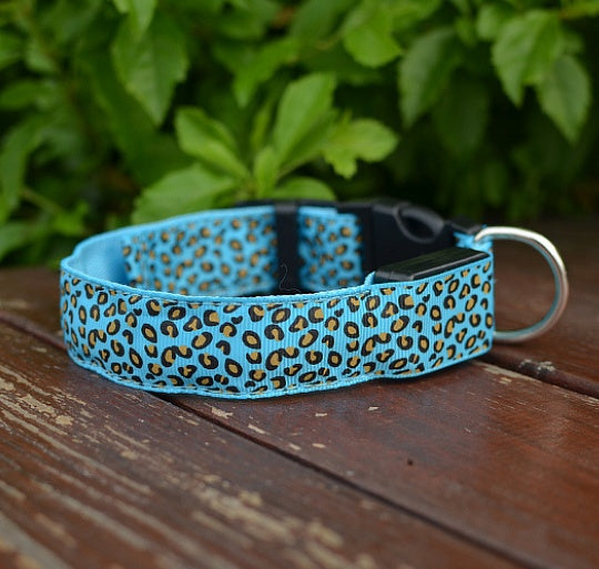 Bright Glow LED Dog Collar – Safe Night Walks