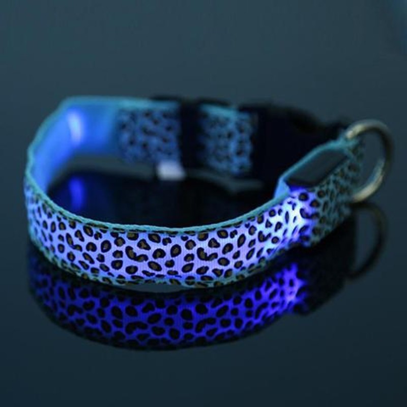 Bright Glow LED Dog Collar – Safe Night Walks