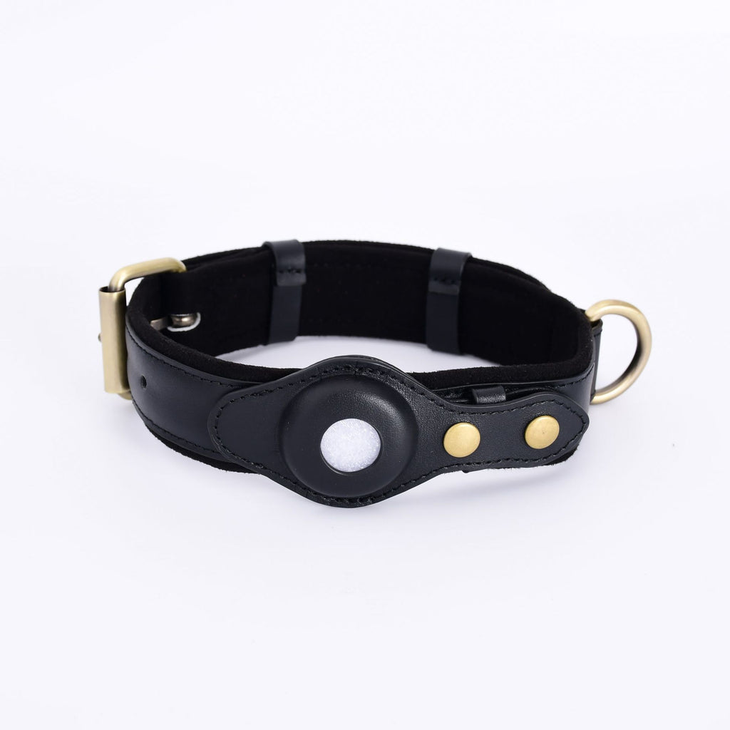 Stay Safe: GPS Tracker Collar for Pets