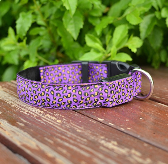Bright Glow LED Dog Collar – Safe Night Walks