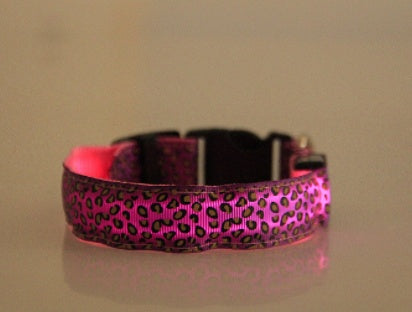 Bright Glow LED Dog Collar – Safe Night Walks