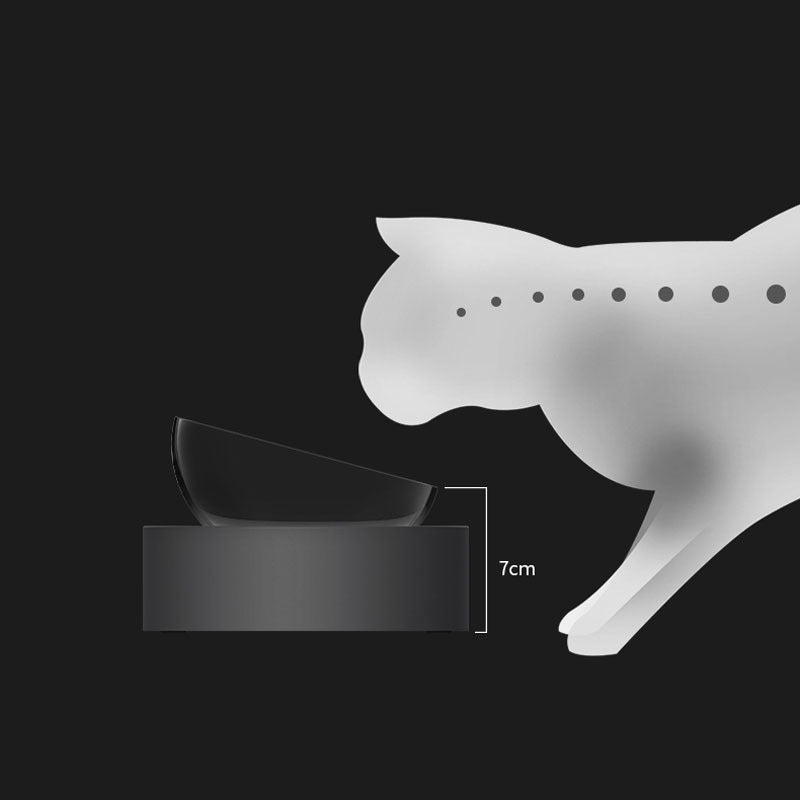 Healthy Eating Made Simple with Elevated Pet Bowls