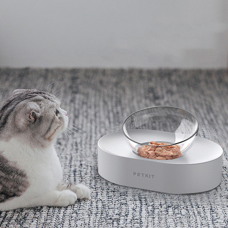 Healthy Eating Made Simple with Elevated Pet Bowls