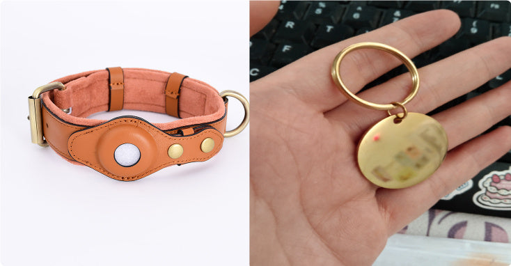 Stay Safe: GPS Tracker Collar for Pets