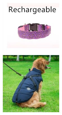 Bright Glow LED Dog Collar – Safe Night Walks
