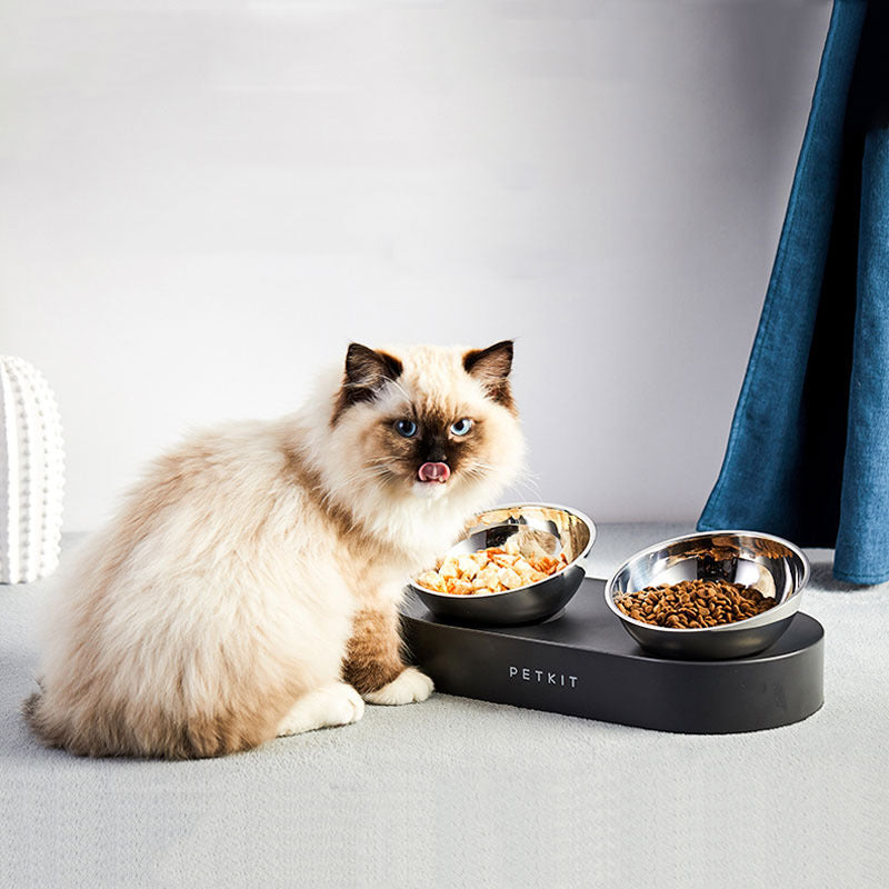 Healthy Eating Made Simple with Elevated Pet Bowls