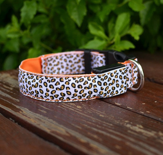 Bright Glow LED Dog Collar – Safe Night Walks