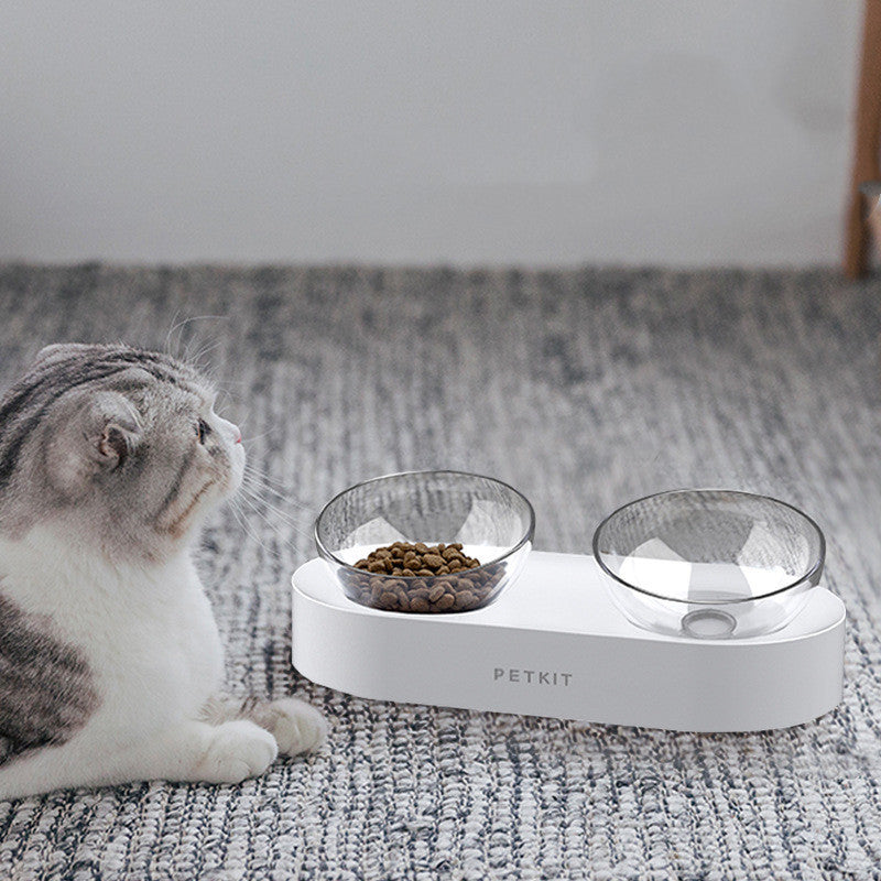 Healthy Eating Made Simple with Elevated Pet Bowls