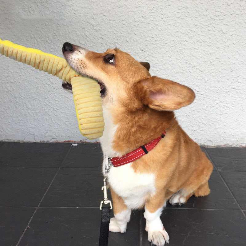 Chew & Play: Squeaky Toy for Stronger Dog Teeth