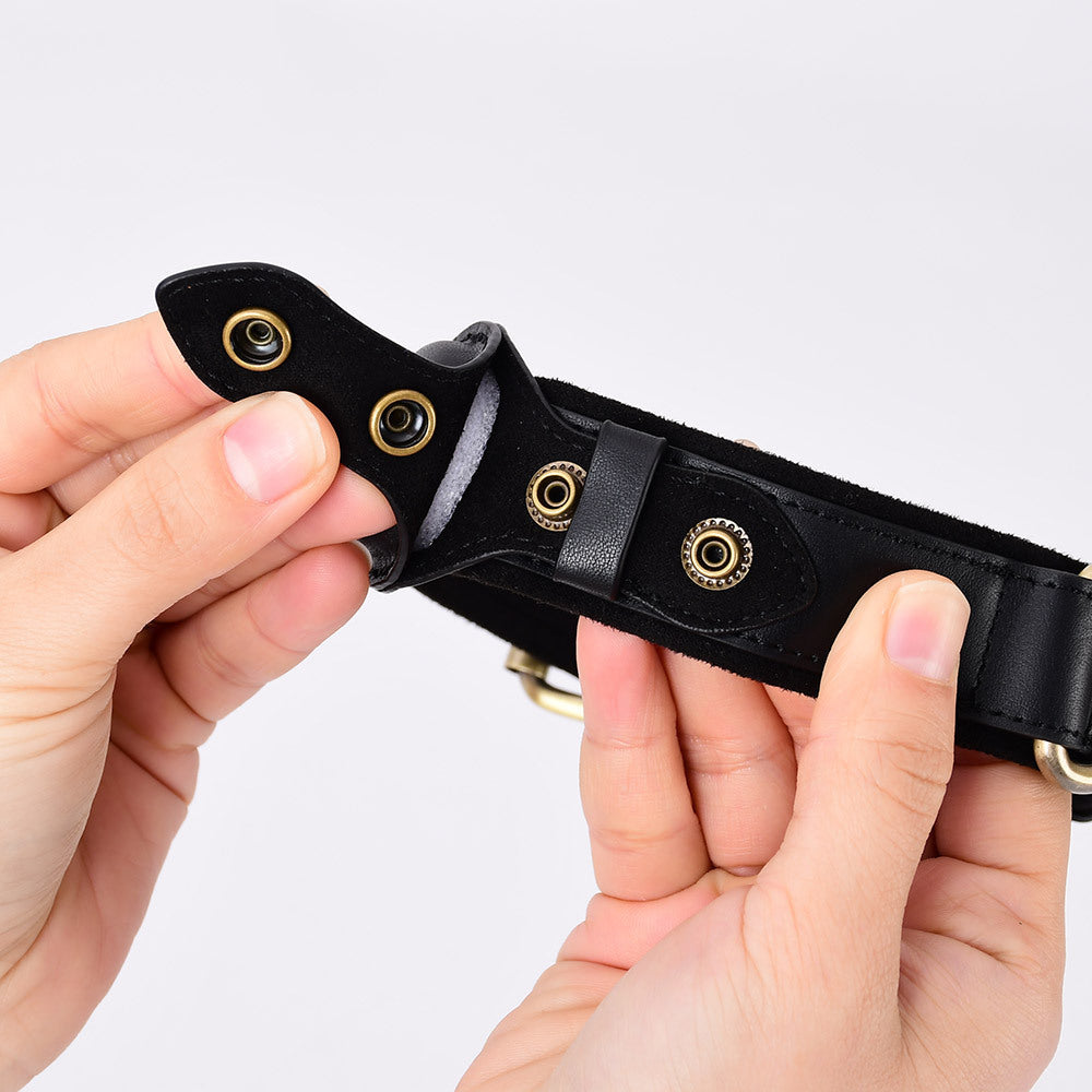 Stay Safe: GPS Tracker Collar for Pets